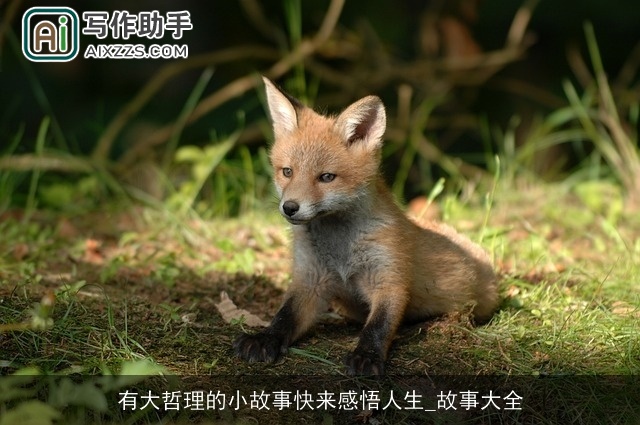 有大哲理的小故事快来感悟人生_故事大全