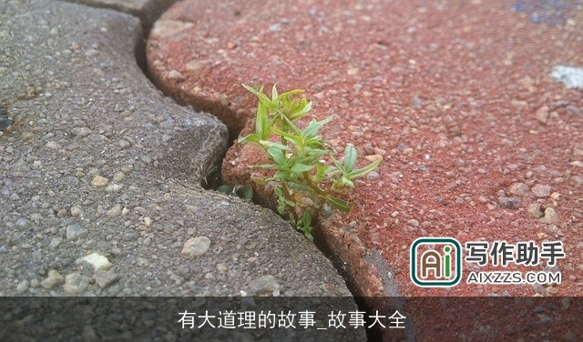有大道理的故事_故事大全