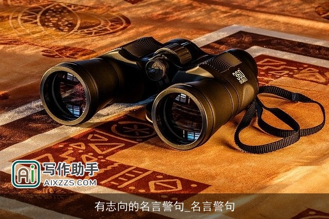 有志向的名言警句_名言警句