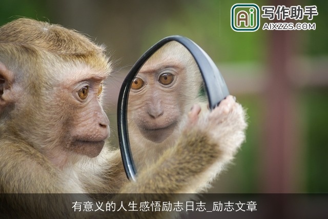 有意义的人生感悟励志日志_励志文章