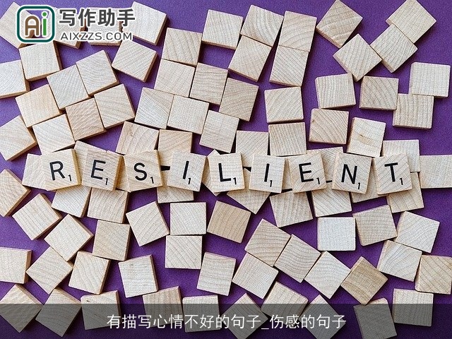 有描写心情不好的句子_伤感的句子