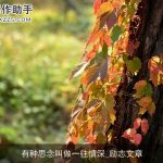 有种思念叫做一往情深_励志文章