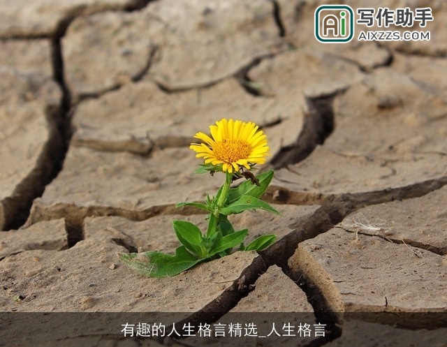 有趣的人生格言精选_人生格言