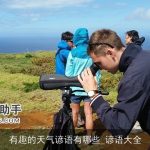 有趣的天气谚语有哪些_谚语大全