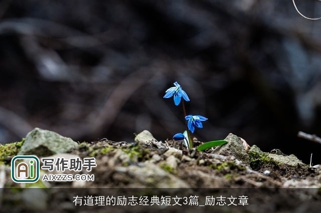 有道理的励志经典短文3篇_励志文章