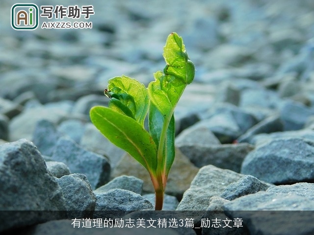 有道理的励志美文精选3篇_励志文章