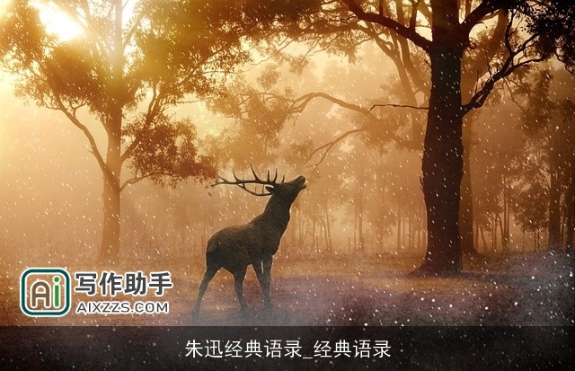 朱迅经典语录_经典语录