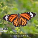 杀阡陌的话_经典句子