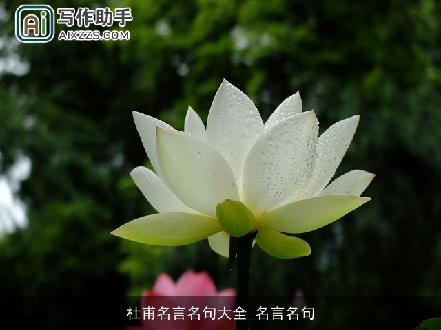 杜甫名言名句大全_名言名句