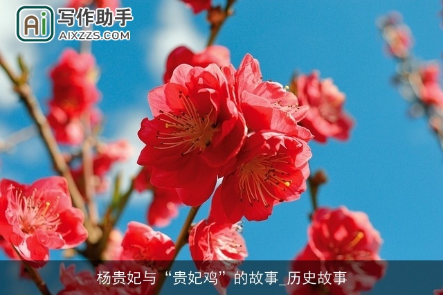 杨贵妃与“贵妃鸡”的故事_历史故事