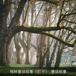 格林童话故事《钉子》_童话故事