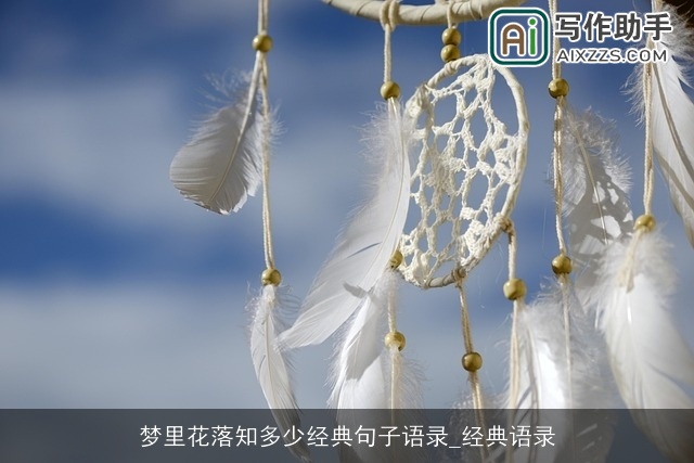 梦里花落知多少经典句子语录_经典语录