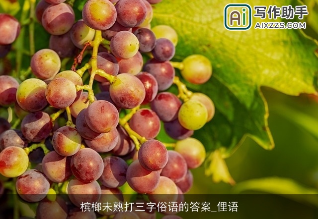 槟榔未熟打三字俗语的答案_俚语