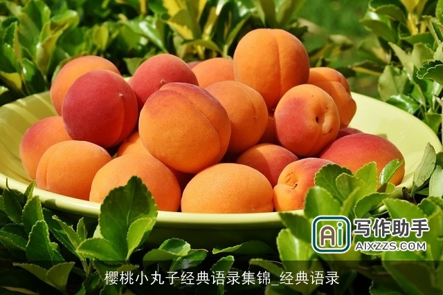 樱桃小丸子经典语录集锦_经典语录