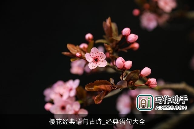 樱花经典语句古诗_经典语句大全