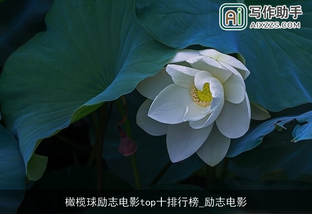 橄榄球励志电影top十排行榜_励志电影