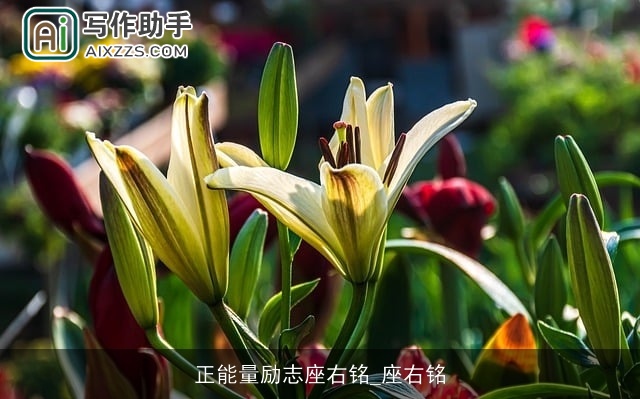 正能量励志座右铭_座右铭