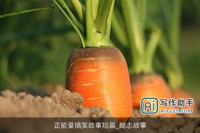 正能量搞笑故事短篇_励志故事