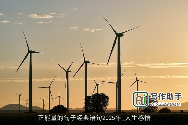 正能量的句子经典语句2025年_人生感悟