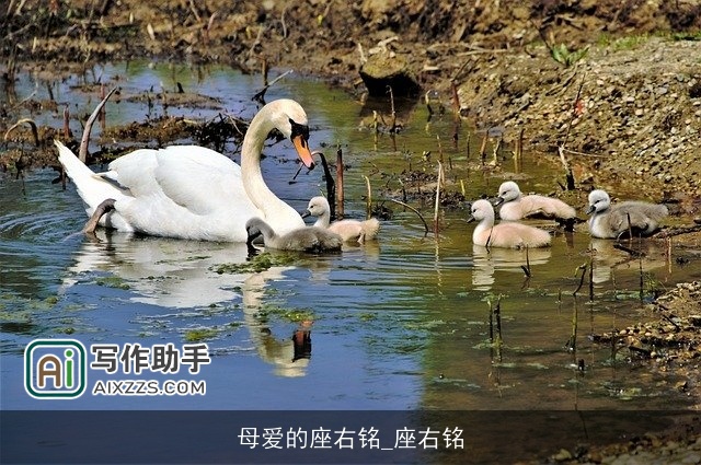 母爱的座右铭_座右铭