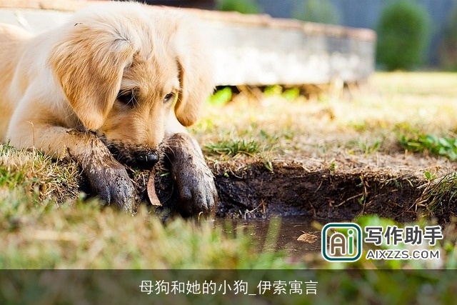 母狗和她的小狗_伊索寓言