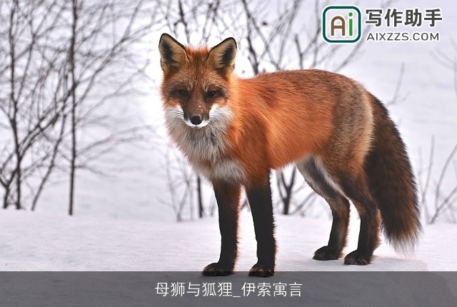 母狮与狐狸_伊索寓言