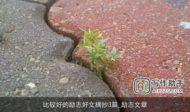 比较好的励志好文摘抄3篇_励志文章