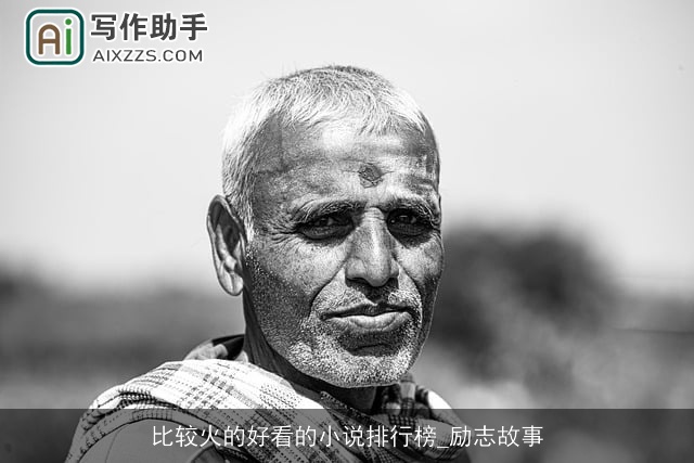 比较火的好看的小说排行榜_励志故事