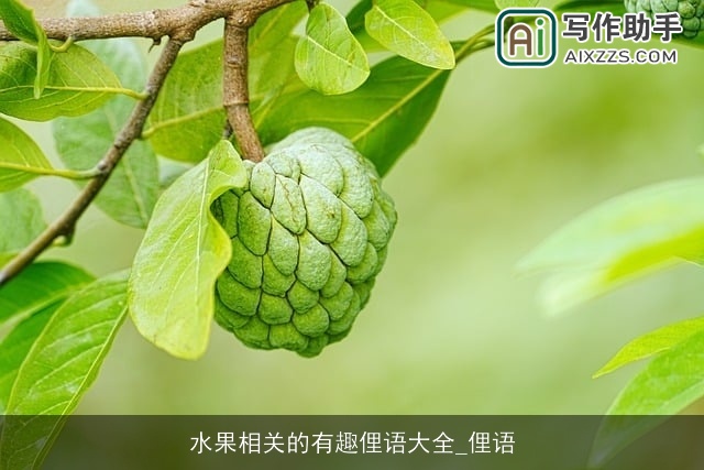 水果相关的有趣俚语大全_俚语