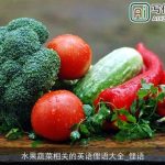 水果蔬菜相关的英语俚语大全_俚语