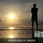 汪涵经典语录大全_经典语录
