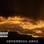 法国作家雨果的名言_经典名言