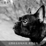 法国名言名句大全_名言名句