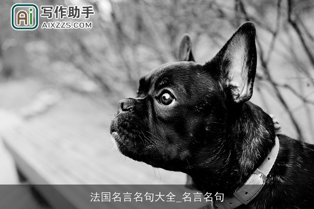 法国名言名句大全_名言名句