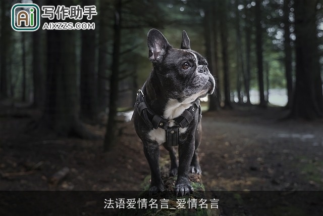 法语爱情名言_爱情名言