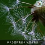 泰戈尔爱情名言名句_爱情名言