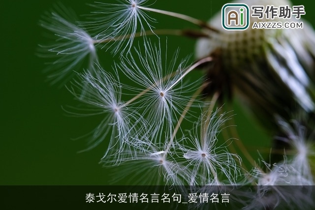 泰戈尔爱情名言名句_爱情名言