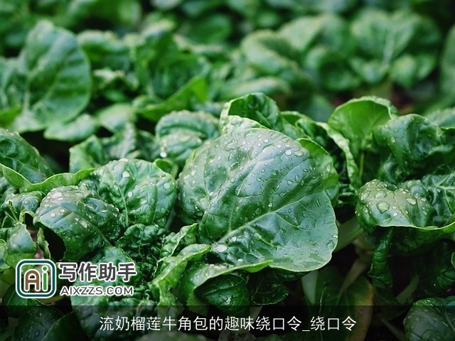 流奶榴莲牛角包的趣味绕口令_绕口令