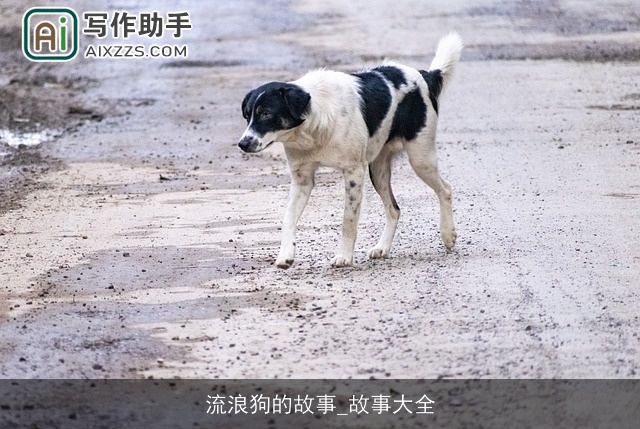 流浪狗的故事_故事大全