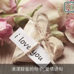 浪漫甜蜜的句子_爱情语句