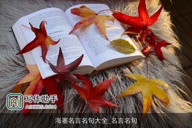 海塞名言名句大全_名言名句