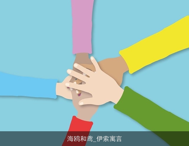 海鸥和鸢_伊索寓言