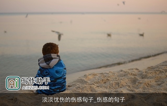 淡淡忧伤的伤感句子_伤感的句子