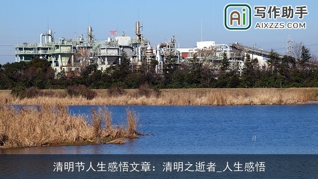 清明节人生感悟文章：清明之逝者_人生感悟