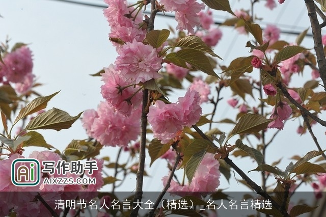 清明节名人名言大全（精选）_名人名言精选