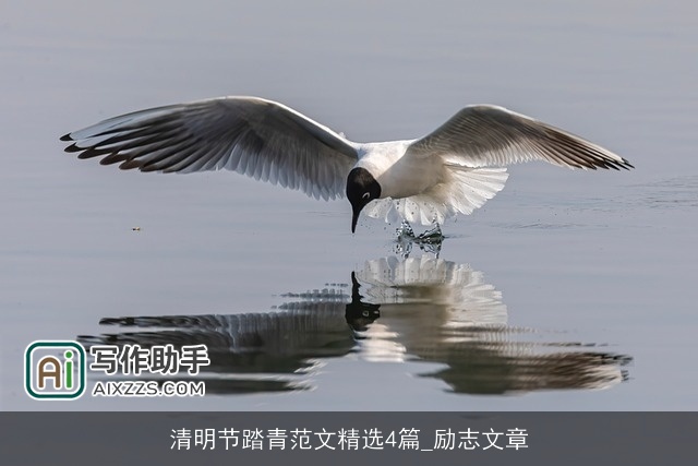 清明节踏青范文精选4篇_励志文章