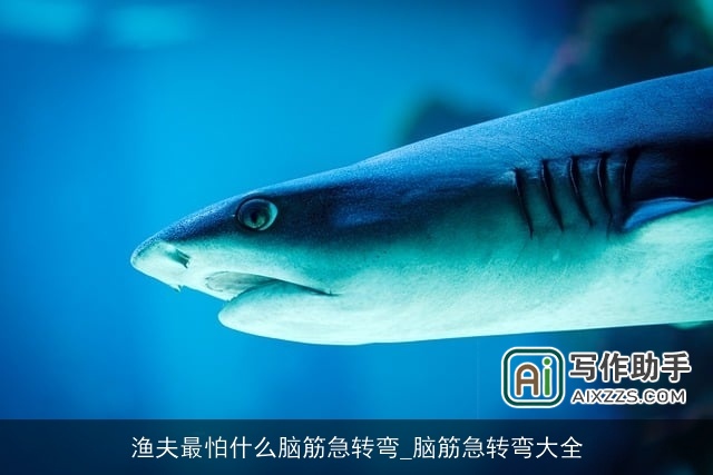 渔夫最怕什么脑筋急转弯_脑筋急转弯大全