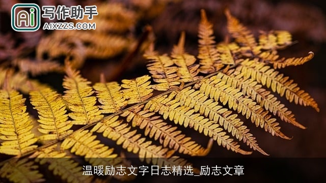 温暖励志文字日志精选_励志文章