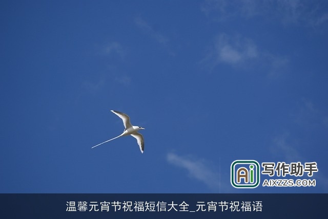 温馨元宵节祝福短信大全_元宵节祝福语