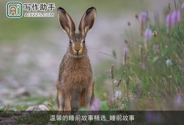 温馨的睡前故事精选_睡前故事